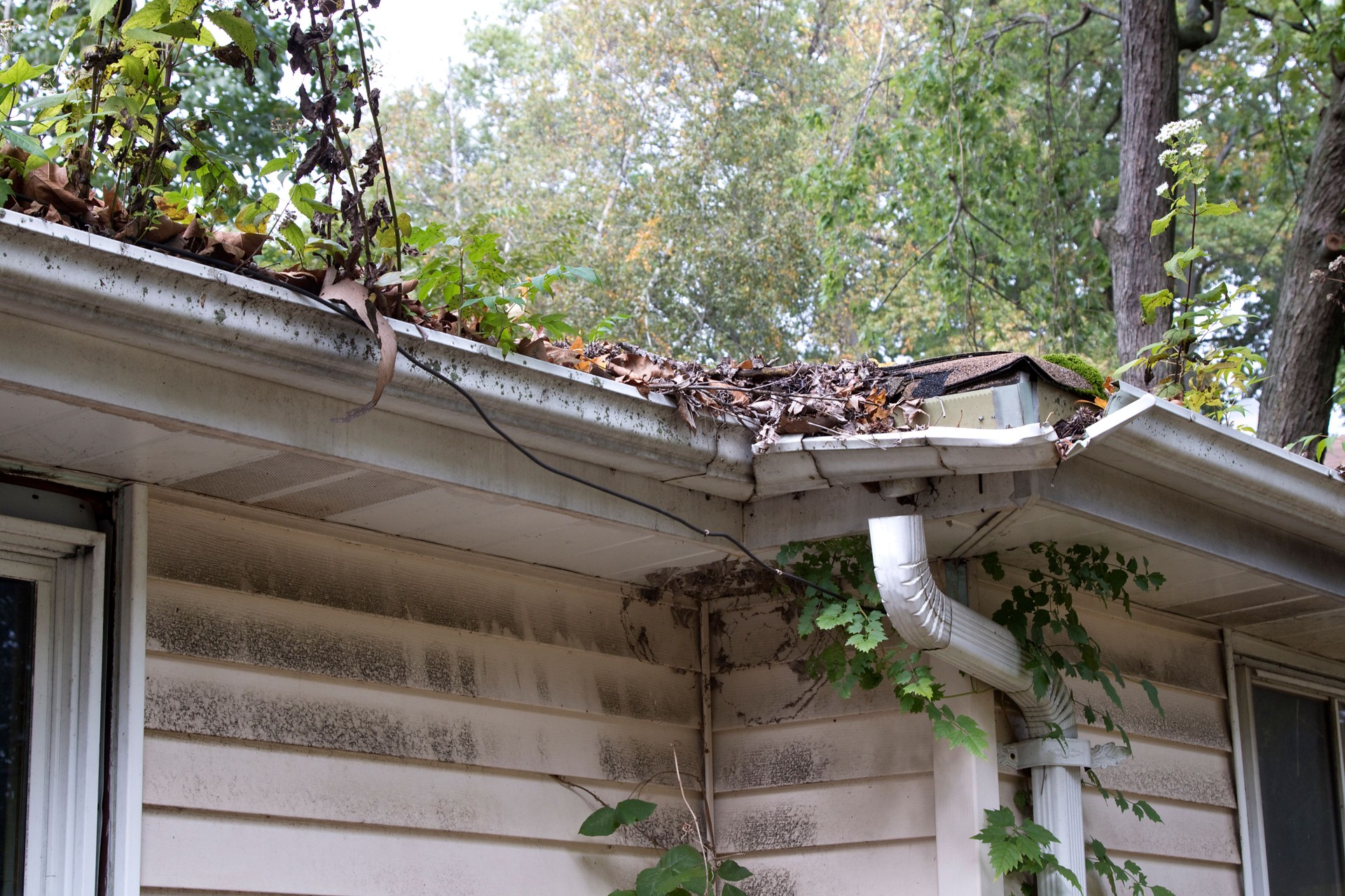 Abandoned house rain gutters